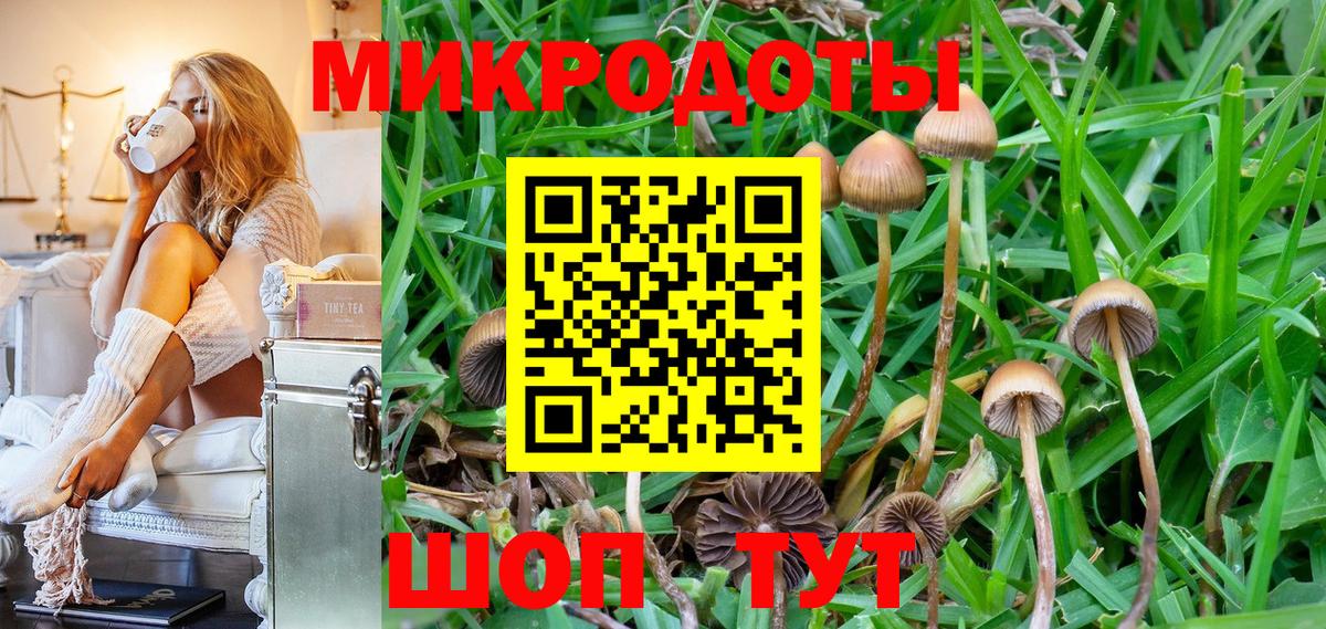 Галлюциногенные грибы прущие грибы  Псилоцибиновые грибы Cubensis  Куйбышев  Вход с VPN 